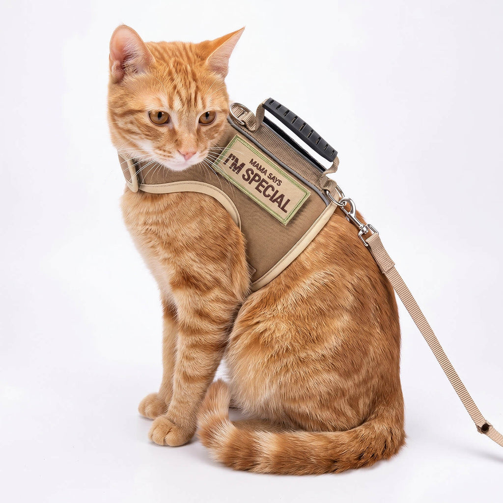 Canvas Cat Harness And Leash Set – Khaki