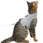 Mesh Cat Harness And Leash Set - Gray