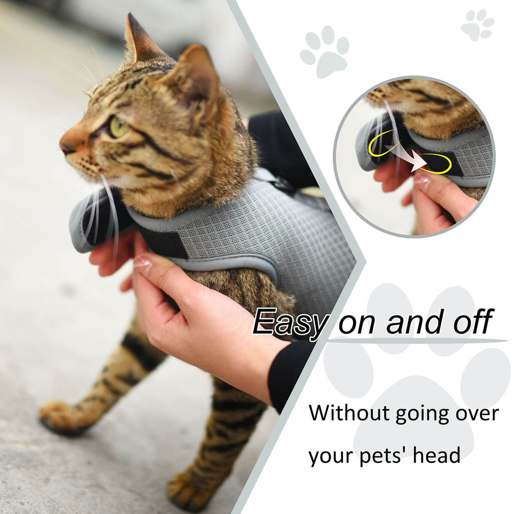 Mesh Cat Harness And Leash Set - Gray