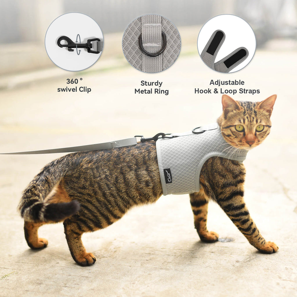 Mesh Cat Harness And Leash Set - Gray
