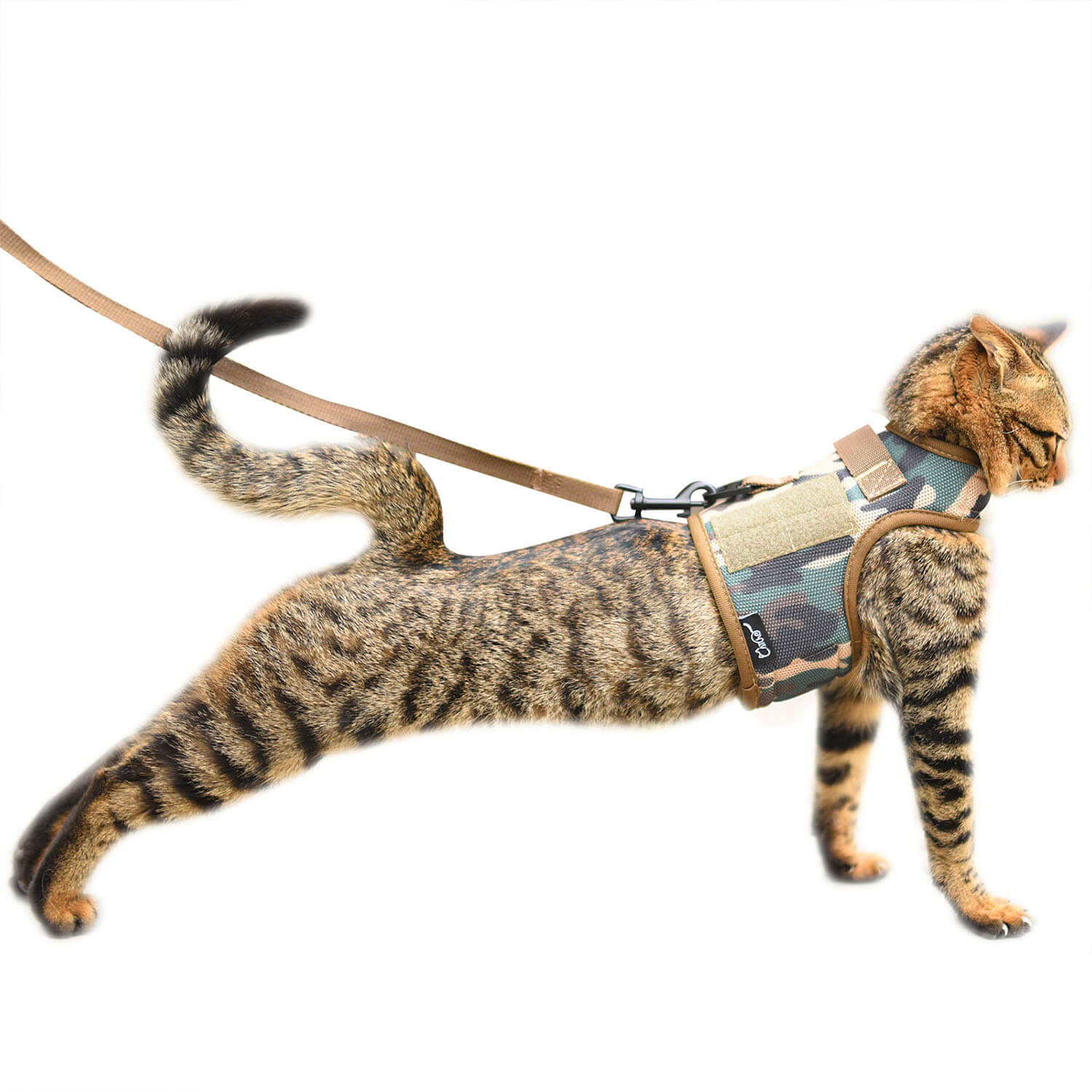 Camouflage Mesh Cat Harness And Leash Set