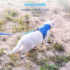 Mesh Cat Harness And Leash Set - Blue