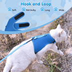 Mesh Cat Harness And Leash Set - Blue