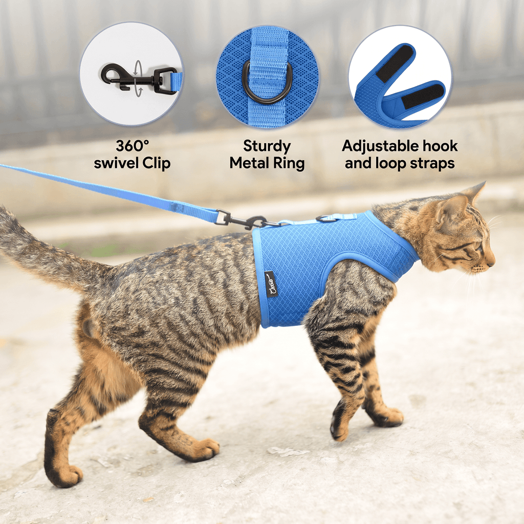 Mesh Cat Harness And Leash Set - Blue