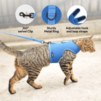 Mesh Cat Harness And Leash Set - Blue
