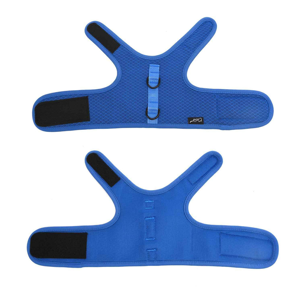 Mesh Cat Harness And Leash Set - Blue