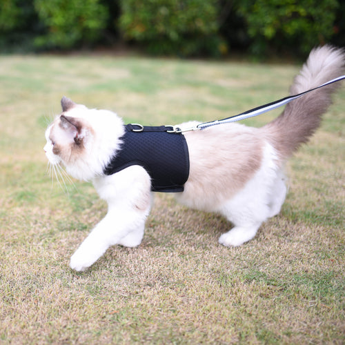 Mesh Cat Harness And Leash Set - Black