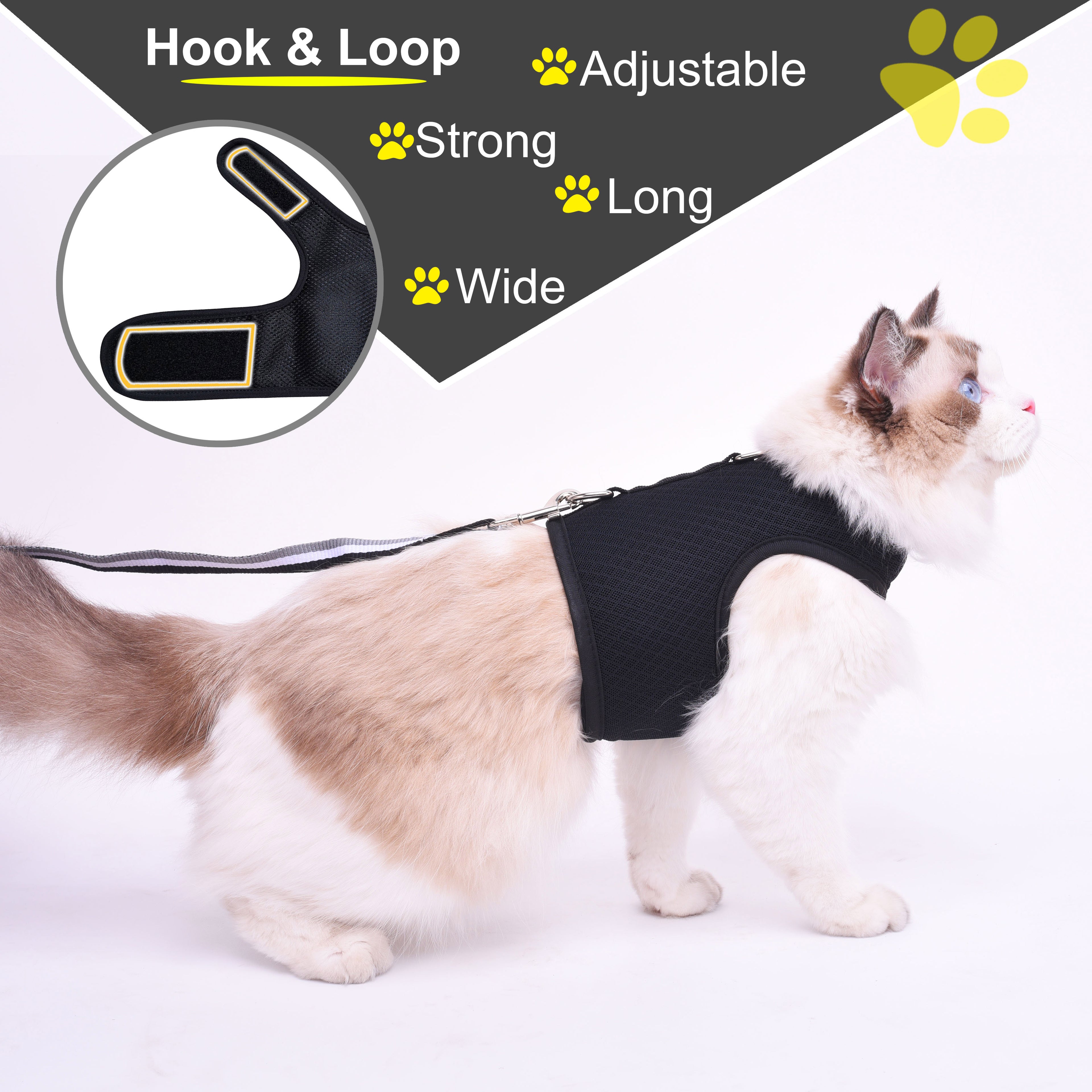 Mesh Cat Harness And Leash Set - Black