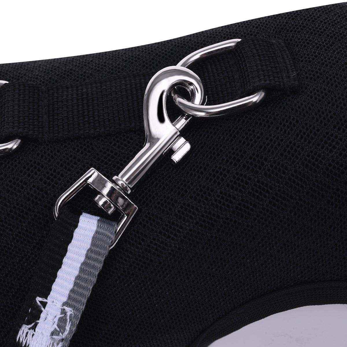 Mesh Cat Harness And Leash Set - Black