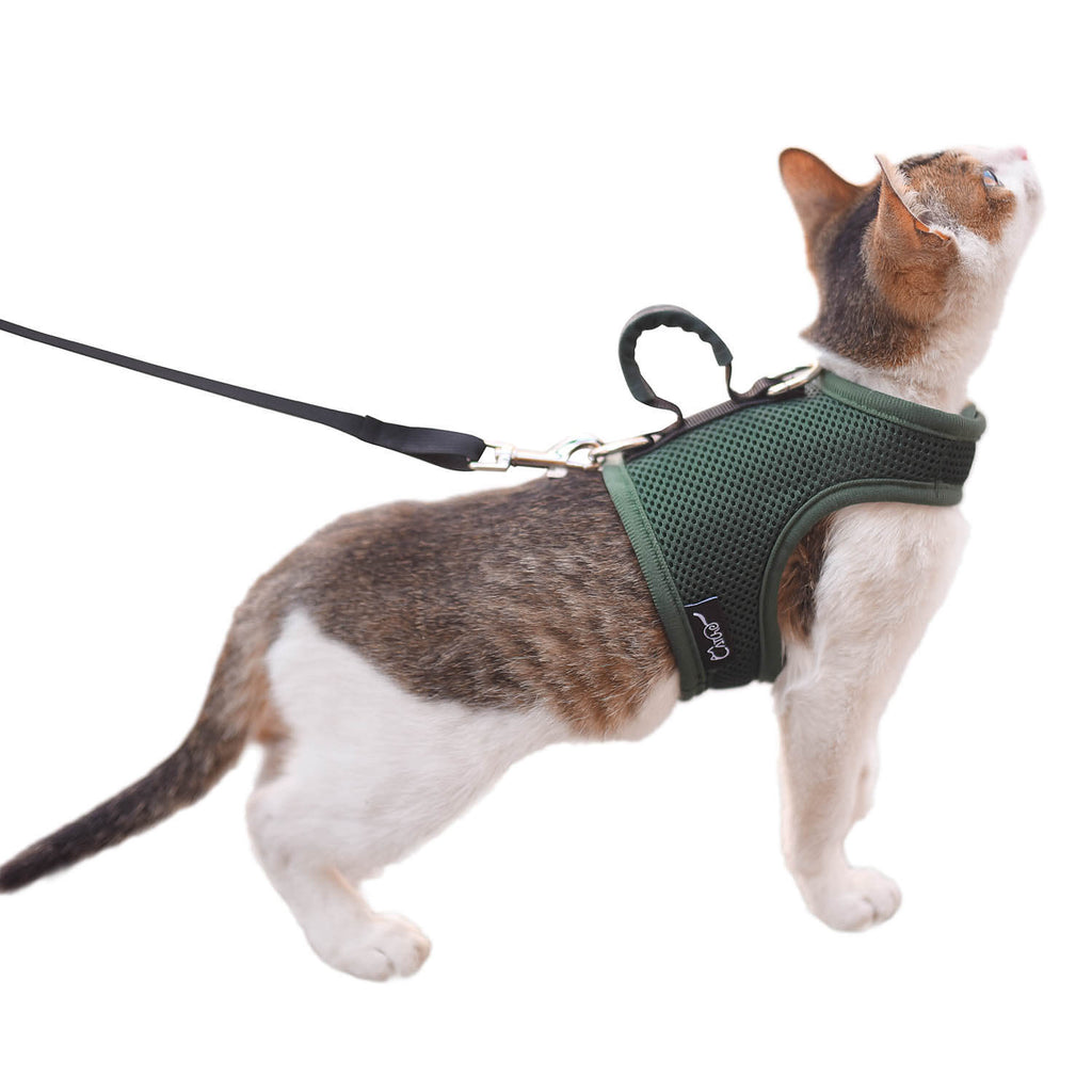 Mesh Cat Harness and Leash Set with Handle - Green