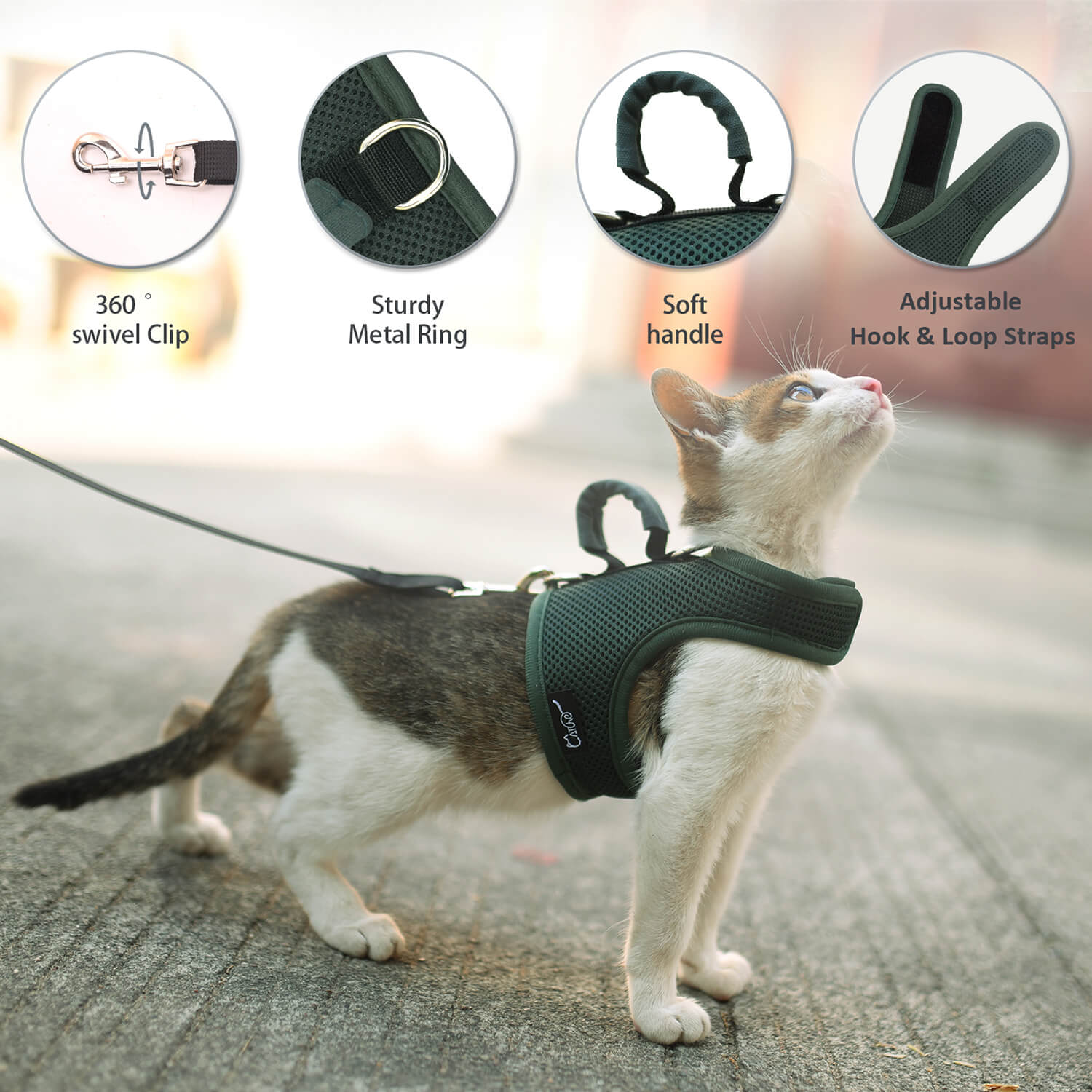 Mesh Cat Harness and Leash Set with Handle - Green