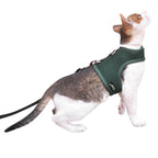 Mesh Cat Harness And Leash Set - Green