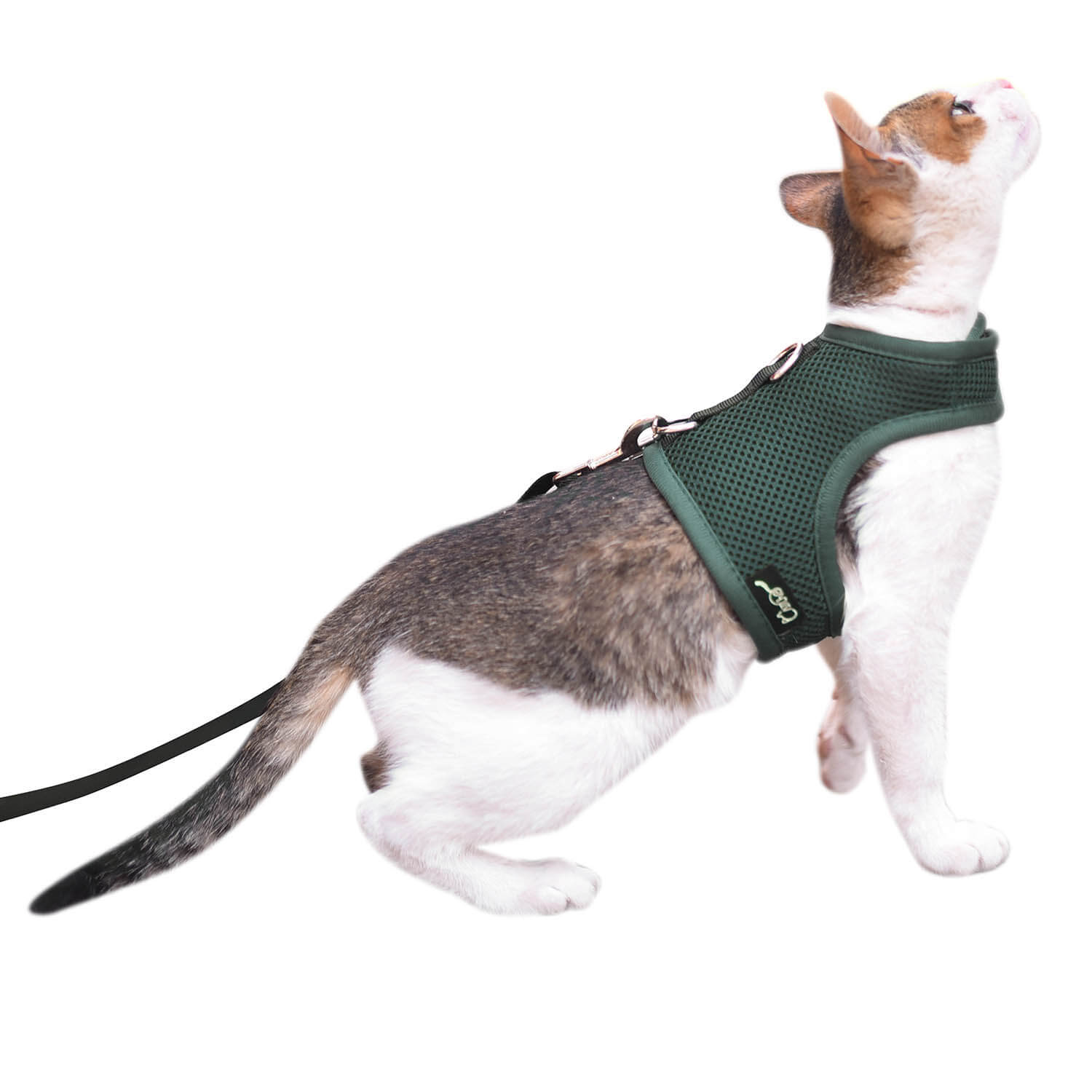 Mesh Cat Harness And Leash Set - Green