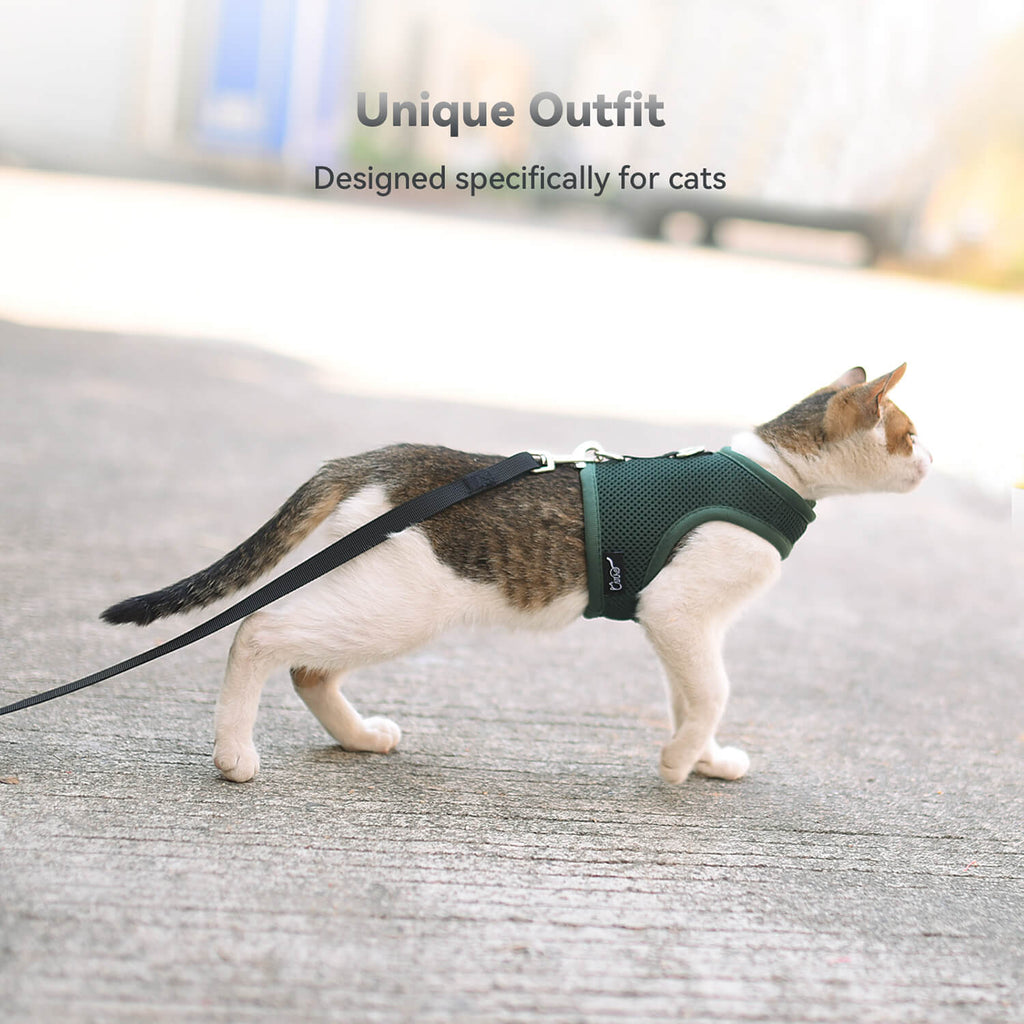 Mesh Cat Harness And Leash Set - Green