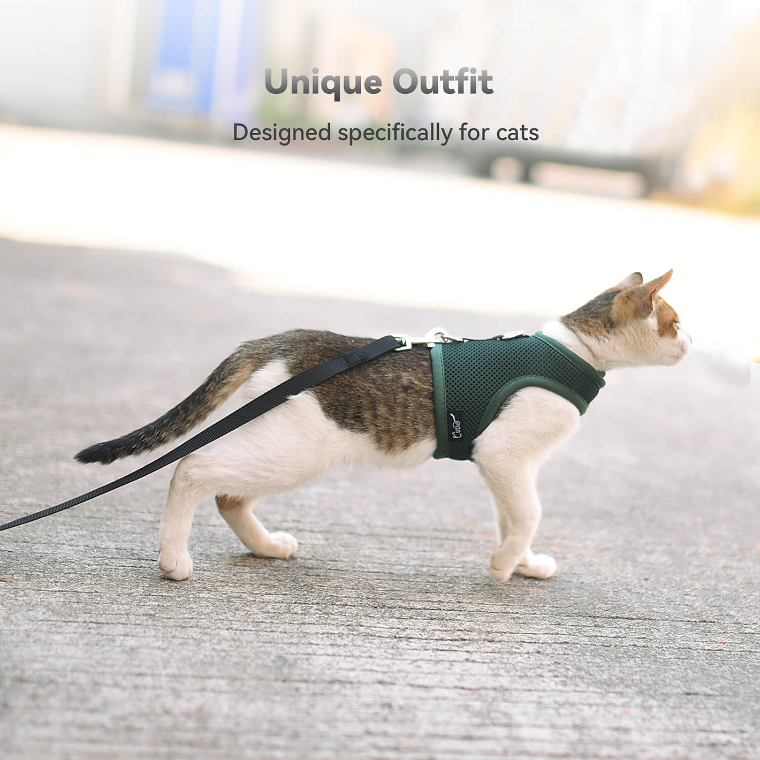 Mesh Cat Harness And Leash Set - Green