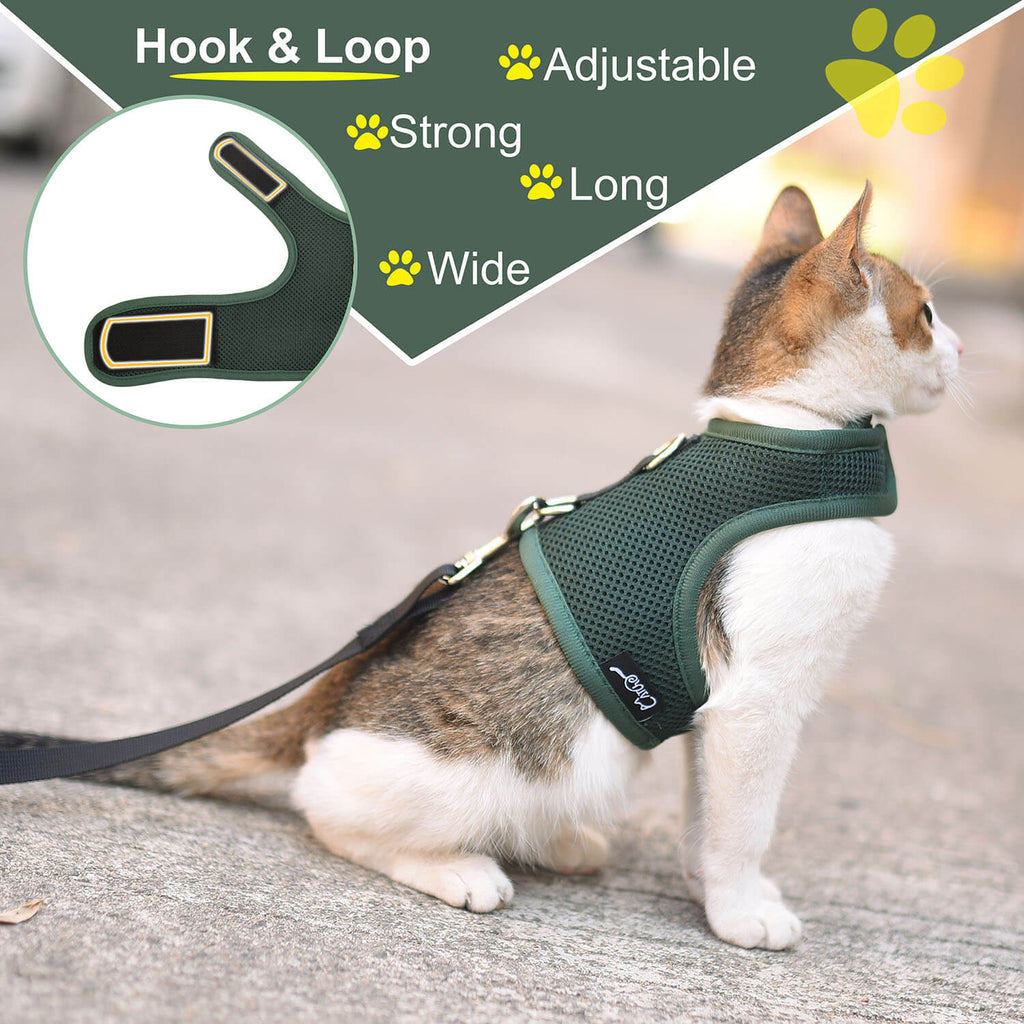 Mesh Cat Harness And Leash Set - Green