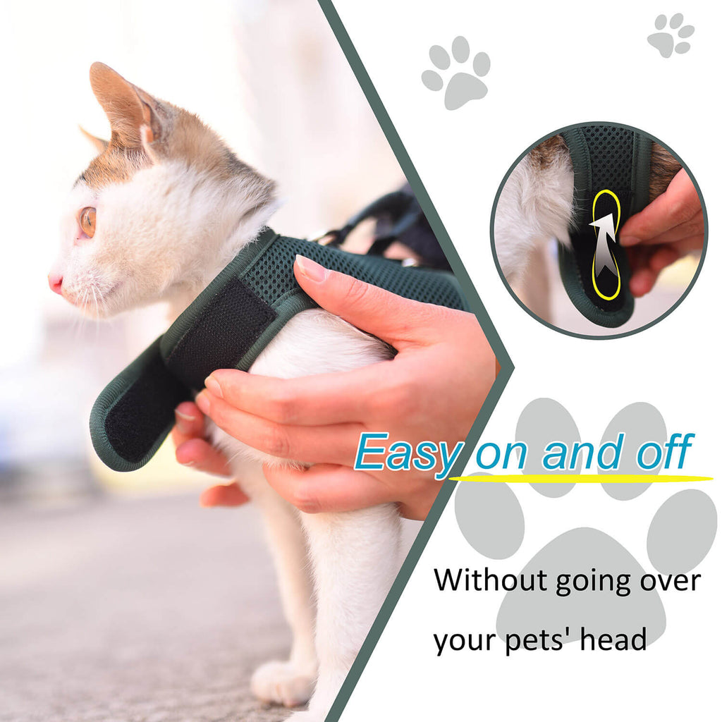 Mesh Cat Harness And Leash Set - Green