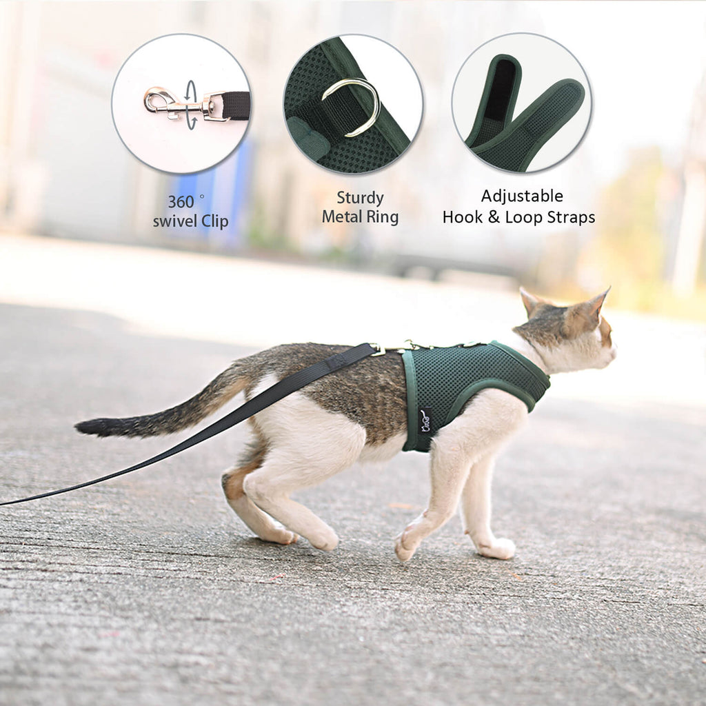 Mesh Cat Harness And Leash Set - Green