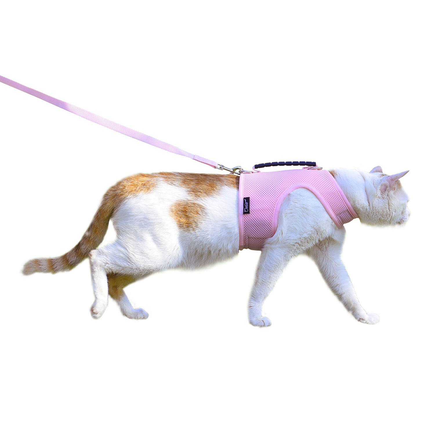 Mesh Cat Harness And Leash Set - Pink
