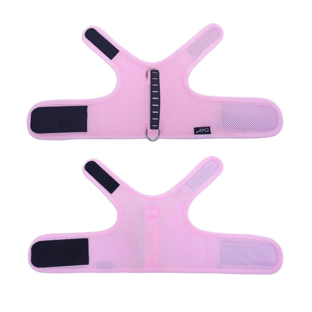 Mesh Cat Harness And Leash Set - Pink