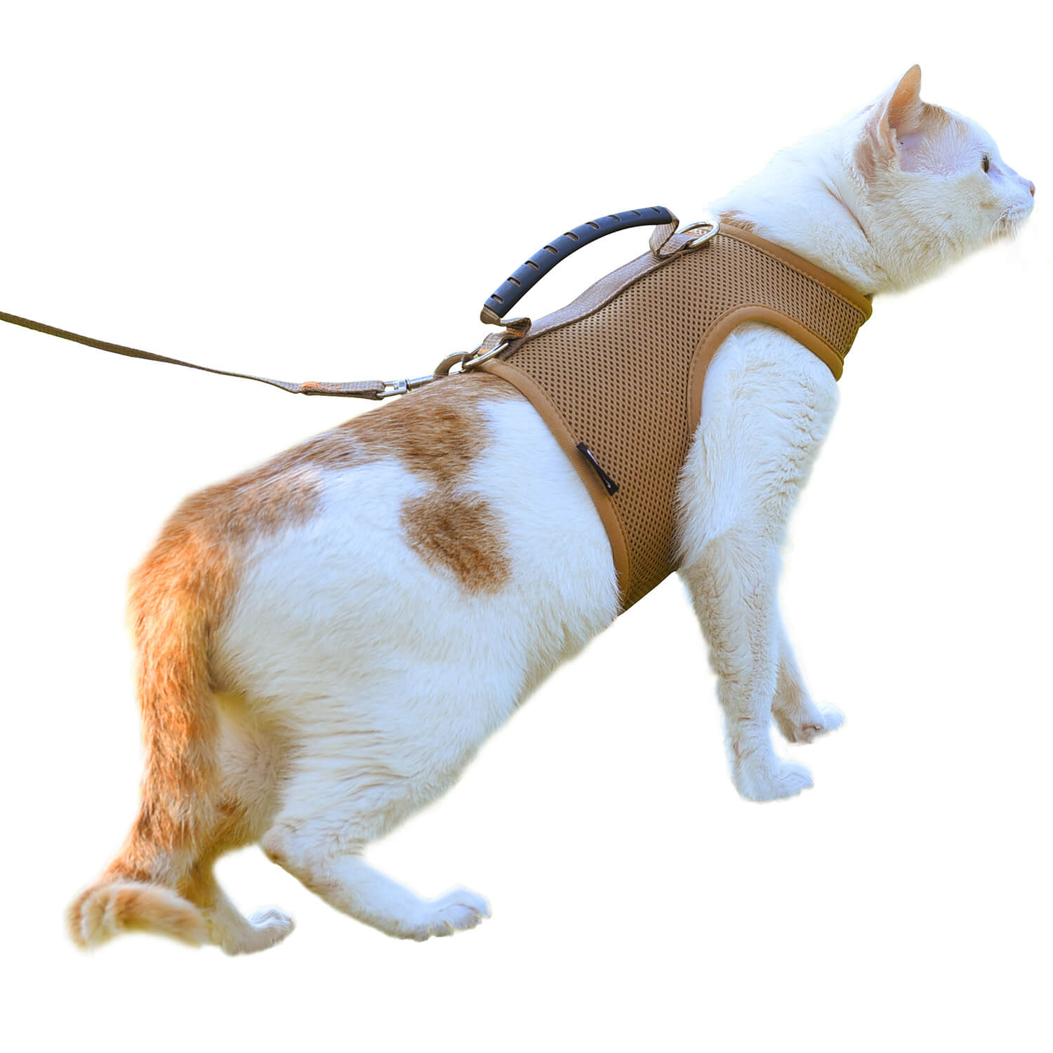 Mesh Cat Harness and Leash Set with Handle - Brown