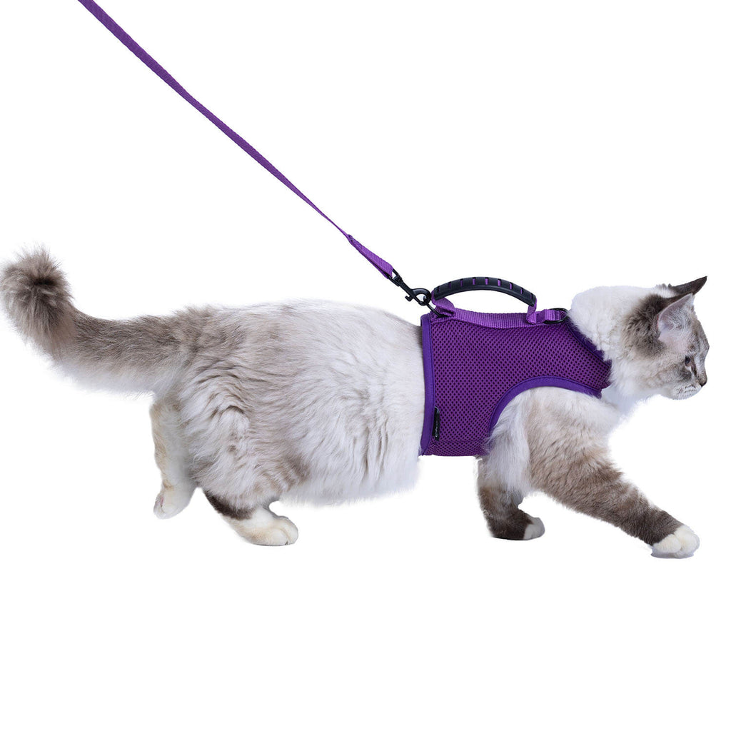 Mesh Cat Harness and Leash Set with Handle - Purple