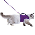 Mesh Cat Harness and Leash Set with Handle - Purple