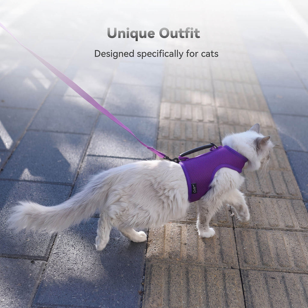 Mesh Cat Harness and Leash Set with Handle - Purple