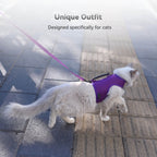 Mesh Cat Harness and Leash Set with Handle - Purple