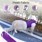 Mesh Cat Harness and Leash Set with Handle - Purple