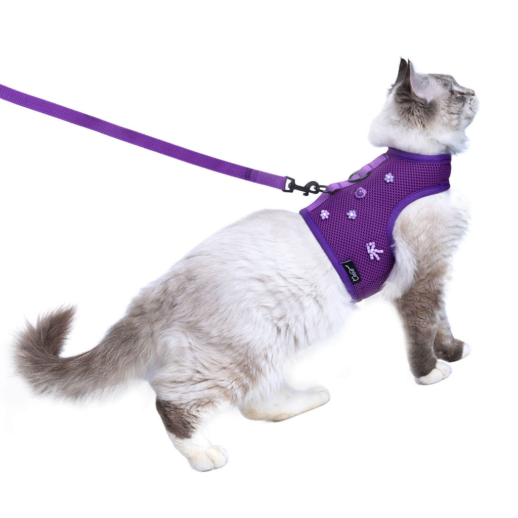Mesh Cat Harness And Leash Set - Purple