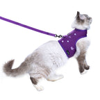 Mesh Cat Harness And Leash Set - Purple