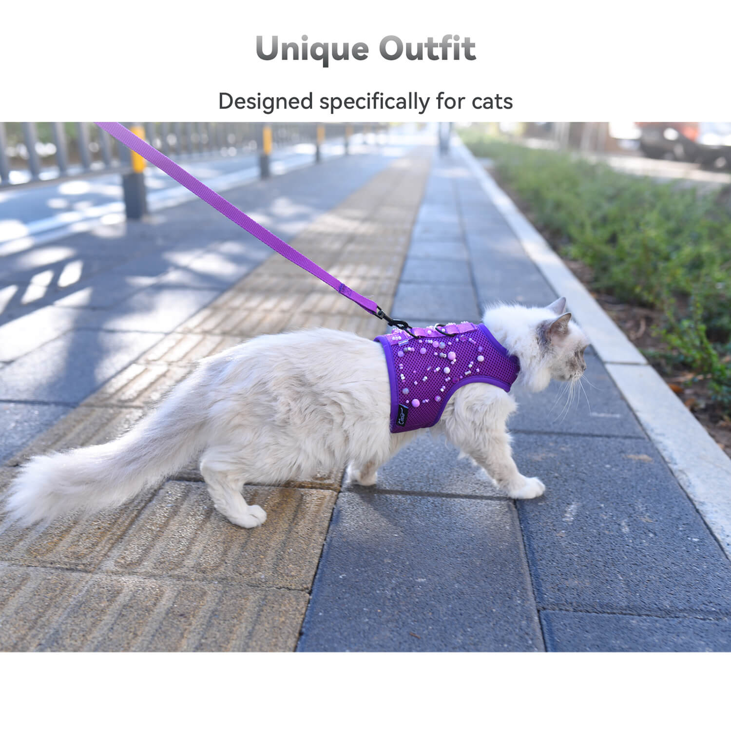 Mesh Cat Harness And Leash Set - Purple