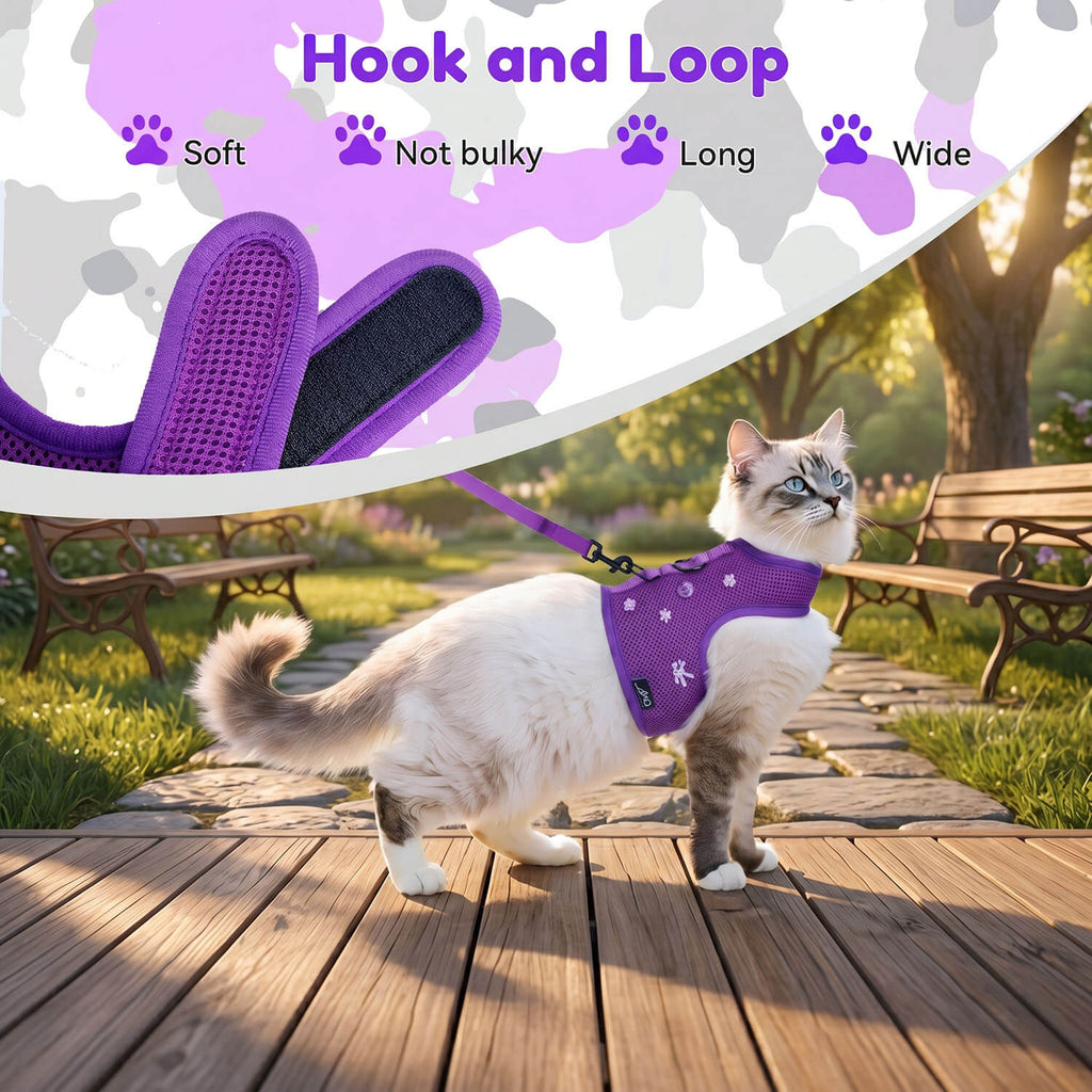 Mesh Cat Harness And Leash Set - Purple