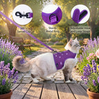 Mesh Cat Harness And Leash Set - Purple
