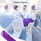 Mesh Cat Harness And Leash Set - Purple