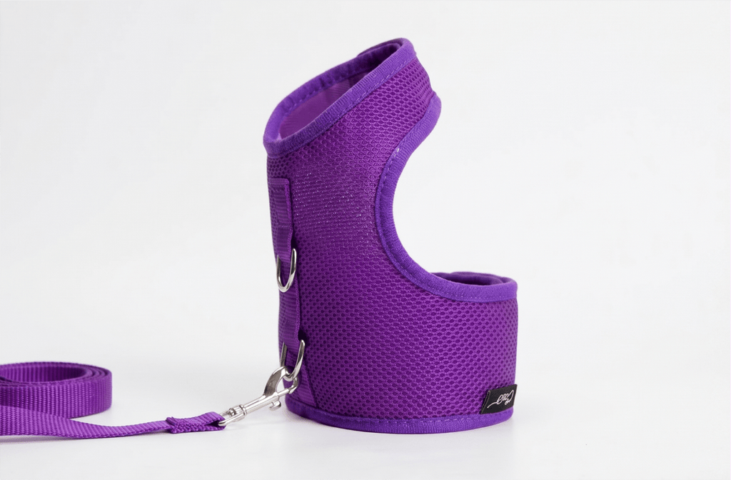 Mesh Cat Harness And Leash Set - Purple