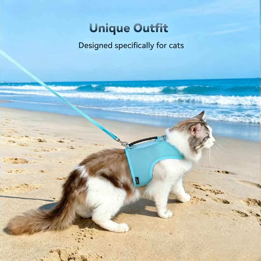 Mesh Cat Harness and Leash Set with Handle - Lack Blue