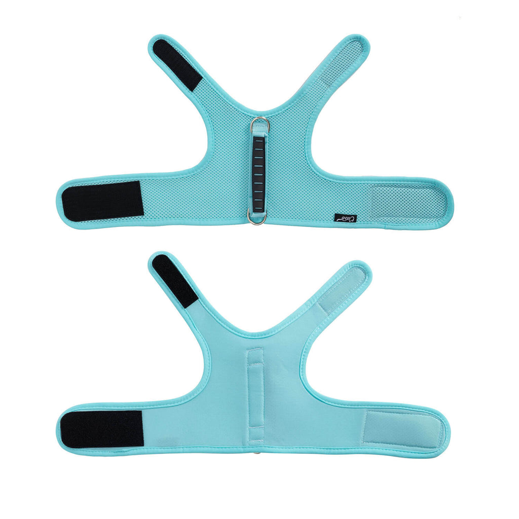 Mesh Cat Harness and Leash Set with Handle - Lack Blue