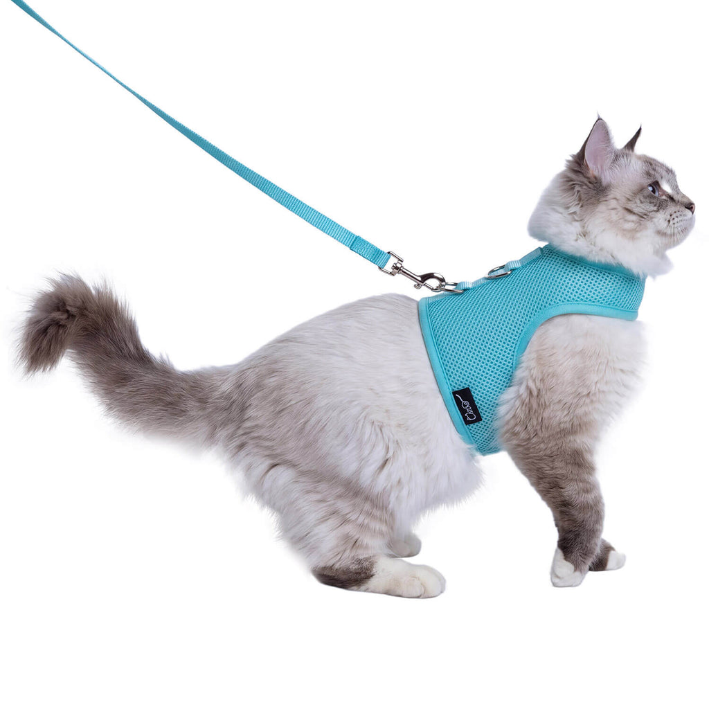 Mesh Cat Harness And Leash Set - Lack Blue