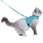 Mesh Cat Harness And Leash Set - Lack Blue