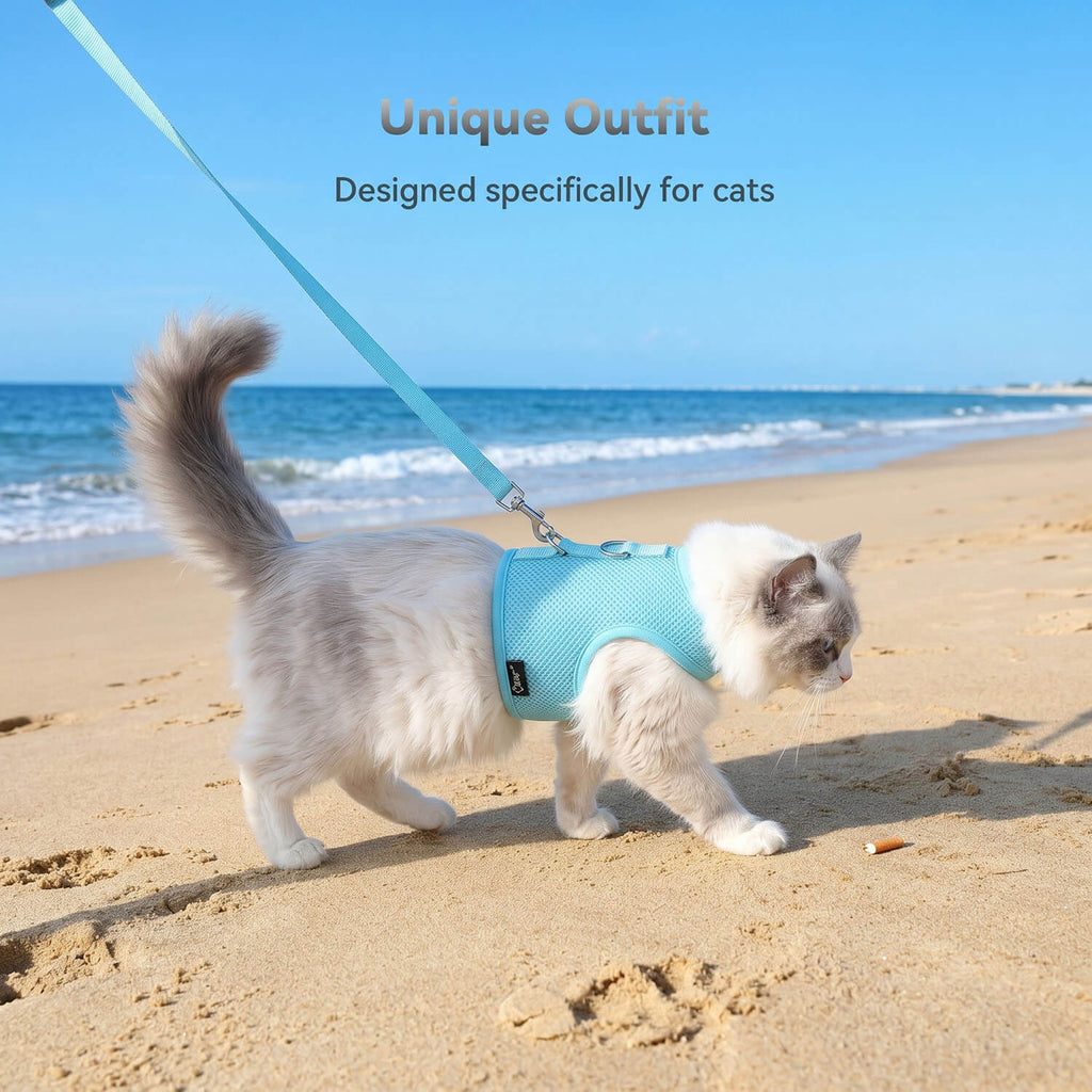 Mesh Cat Harness And Leash Set - Lack Blue