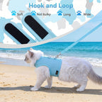 Mesh Cat Harness And Leash Set - Lack Blue