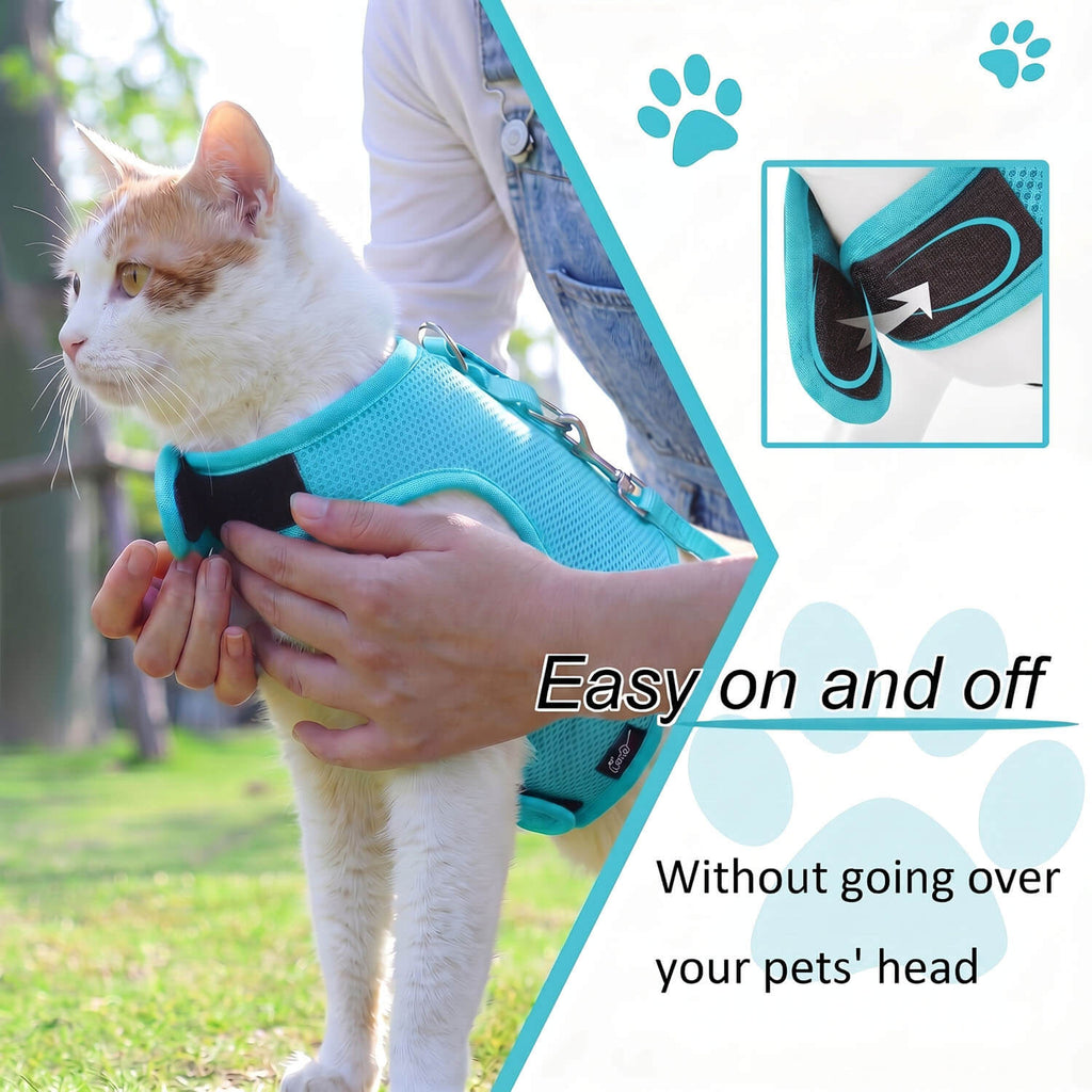 Mesh Cat Harness And Leash Set - Lack Blue