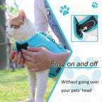 Mesh Cat Harness And Leash Set - Lack Blue