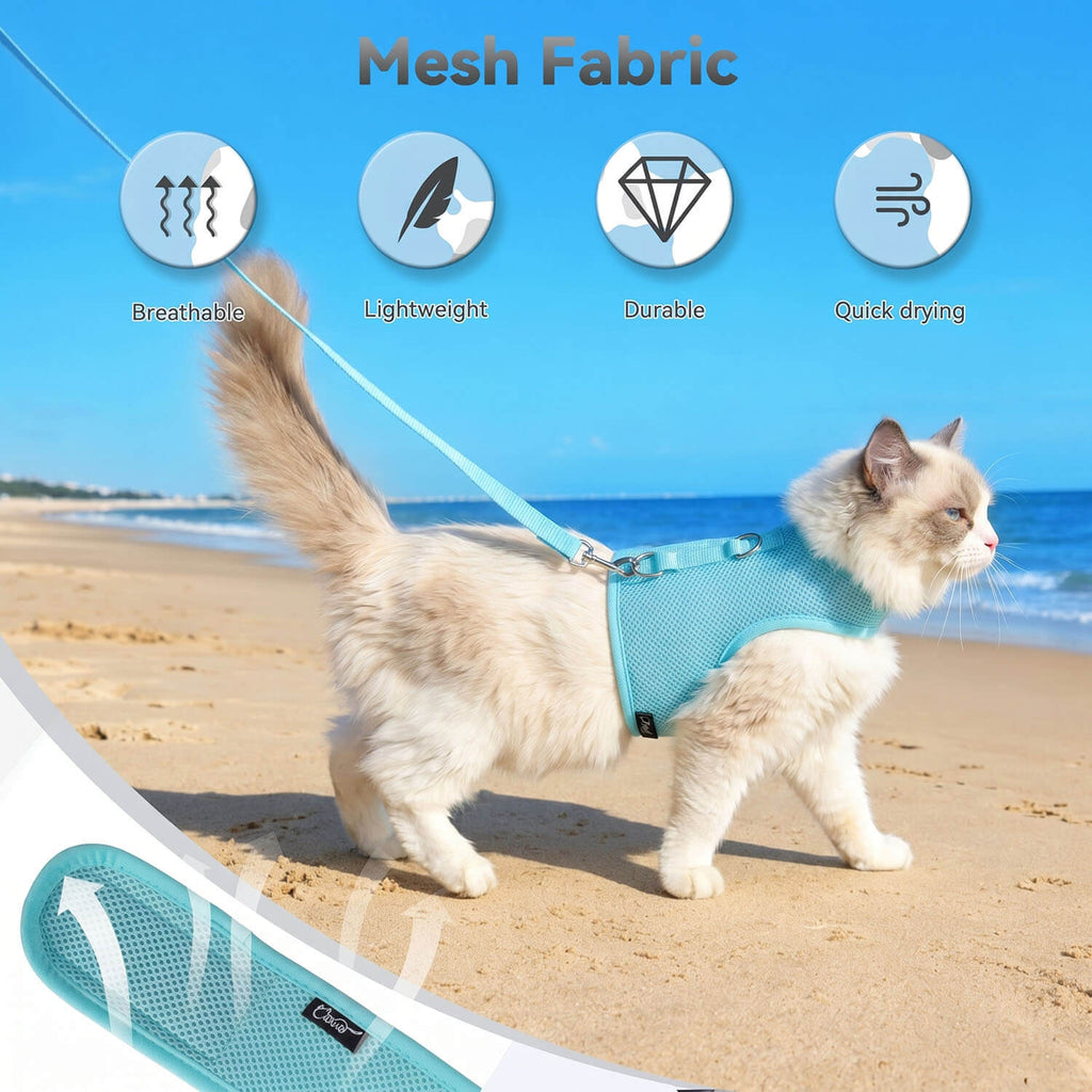 Mesh Cat Harness And Leash Set - Lack Blue